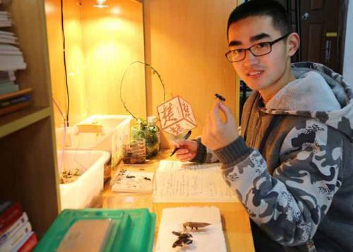 Zhao Yuchen records the breeding process of insects in a notebook in his dormitory. [Photo/Chutian Metropolitan Daily]