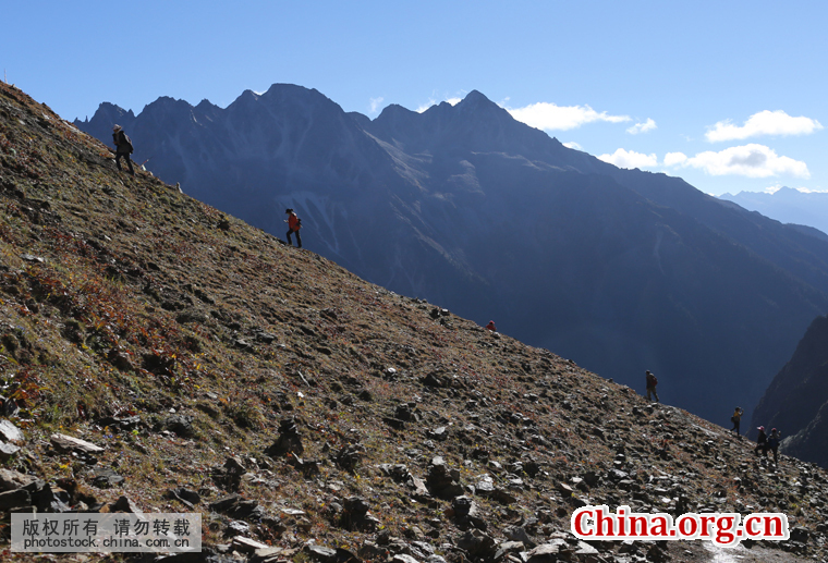 A team of local villagers is on their journey to clean up garbage and waste in the Meili Mountains in Deqin County, Yunnan Province, in late October. [Photo by Bai Jikai/China.com.cn]