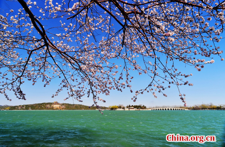 Beautiful Scenery Of Summer Palace In Four Seasons Cn