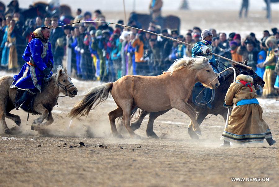 Mongolian herdsmen lasso horses at a winter Nadam fair in West Ujimqin Banner, north China&apos;s Inner Mongolia Autonomous Region, Jan. 7, 2017. The 5-day event kicked off here on Saturday. Nadam Fair, meaning &apos;entertainment&apos; or &apos;recreation&apos; in Mongolian, is a mass traditional Mongolian festival mainly filled with sports events. (Xinhua/Ren Junchuan)