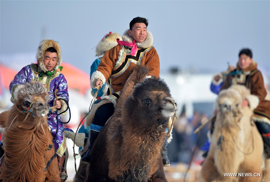Mongolian herdsmen ride camels at a winter Nadam fair in West Ujimqin Banner, north China&apos;s Inner Mongolia Autonomous Region, Jan. 7, 2017. The 5-day event kicked off here on Saturday. Nadam Fair, meaning &apos;entertainment&apos; or &apos;recreation&apos; in Mongolian, is a mass traditional Mongolian festival mainly filled with sports events. (Xinhua/Ren Junchuan)