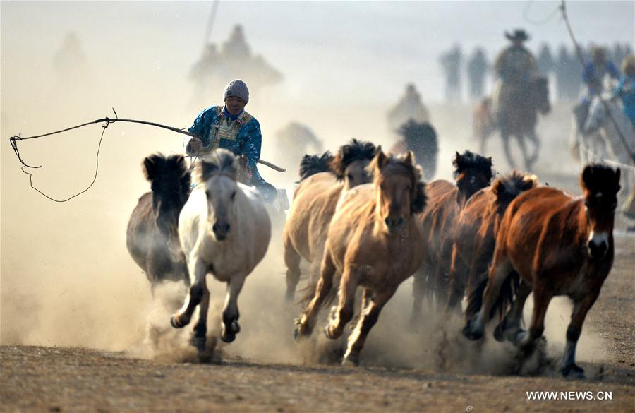 Mongolian herdsmen lasso horses at a winter Nadam fair in West Ujimqin Banner, north China&apos;s Inner Mongolia Autonomous Region, Jan. 7, 2017. The 5-day event kicked off here on Saturday. Nadam Fair, meaning &apos;entertainment&apos; or &apos;recreation&apos; in Mongolian, is a mass traditional Mongolian festival mainly filled with sports events. (Xinhua/Ren Junchuan) 