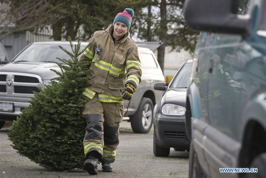 Christmas trees recycled in Canada