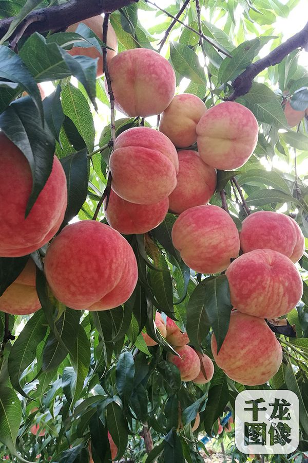 IMG_20160907_162210-12