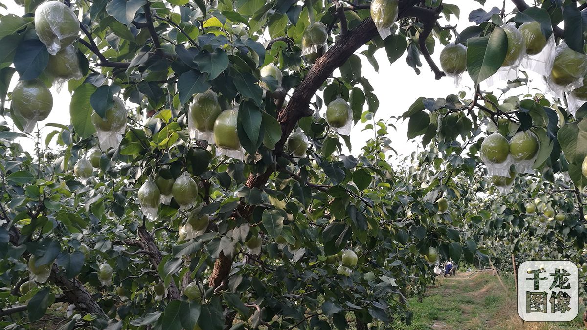 IMG_20160907_162010-12