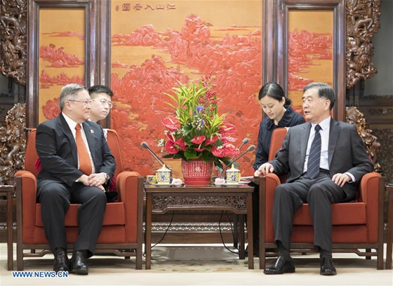 Chinese Vice Premier Wang Yang (R, front) meets with a Philippine cabinet delegation led by Finance Secretary Carlos Dominguez (L, front) in Beijing, capital of China, Jan. 23, 2017. [Photo/Xinhua]