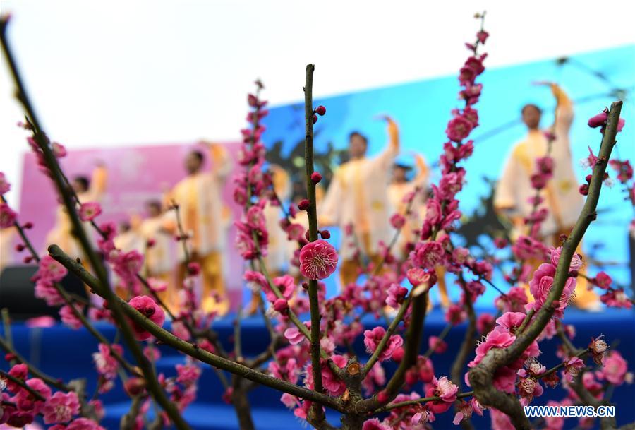 Dancers perform during the 2017 International Plum Blossom Festival of Nanjing at Meihua mountain in Nanjing, east China's Jiangsu Province, Feb. 17, 2017. (Xinhua/Sun Can)