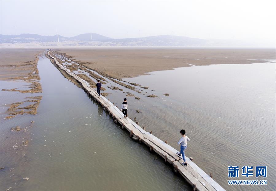 #（社会）（1）江西鄱阳湖明代古石桥完成大修