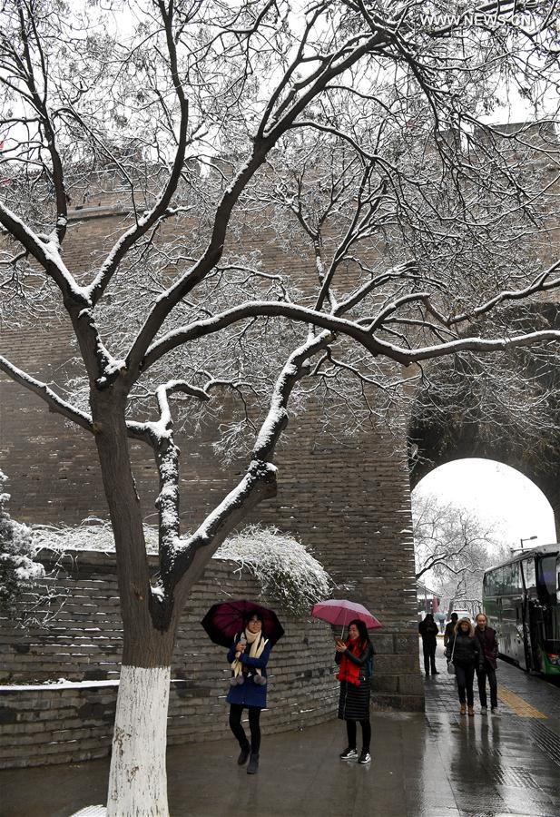 People enjoy snow scenery under a tree in Xi'an, northwest China's Shaanxi Province, Feb. 21, 2017. [Photo/Xinhua]