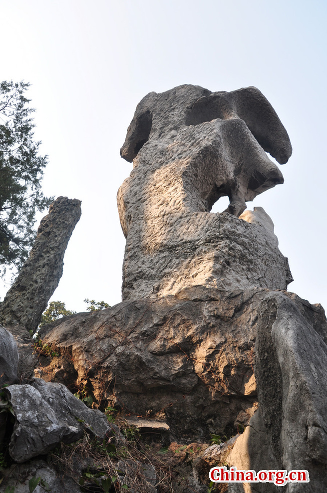 Located at the northeast of Suzhou, Jiangsu Province, the Lion Grove Garden is famous for the Taihu rocks in various shapes which are said to resemble lions, especially the large and labyrinthine grotto of rocks at the garden's center.