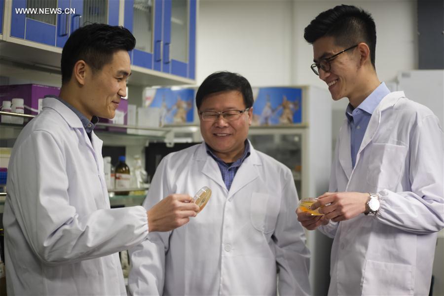 Professor Yuan Yingjin (C) and members of his research team talk in the laboratory of Tianjin University in Tianjin, Jan 5, 2013.[Photo/Xinhua]