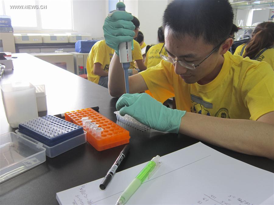 A researcher with the Tianjin University's Yuan Yingjin team works in the laboratory of Tianjin University in Tianjin, July 23, 2012.[Photo/Xinhua]