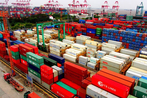 Containers pile up at Waigaoqiao Port in the Shanghai Free Trade Zone. [Photo/Xinhua]