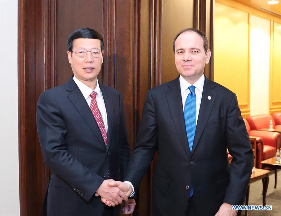 China, Albania agree to expand cooperation under Belt and Road, 16+1 framework