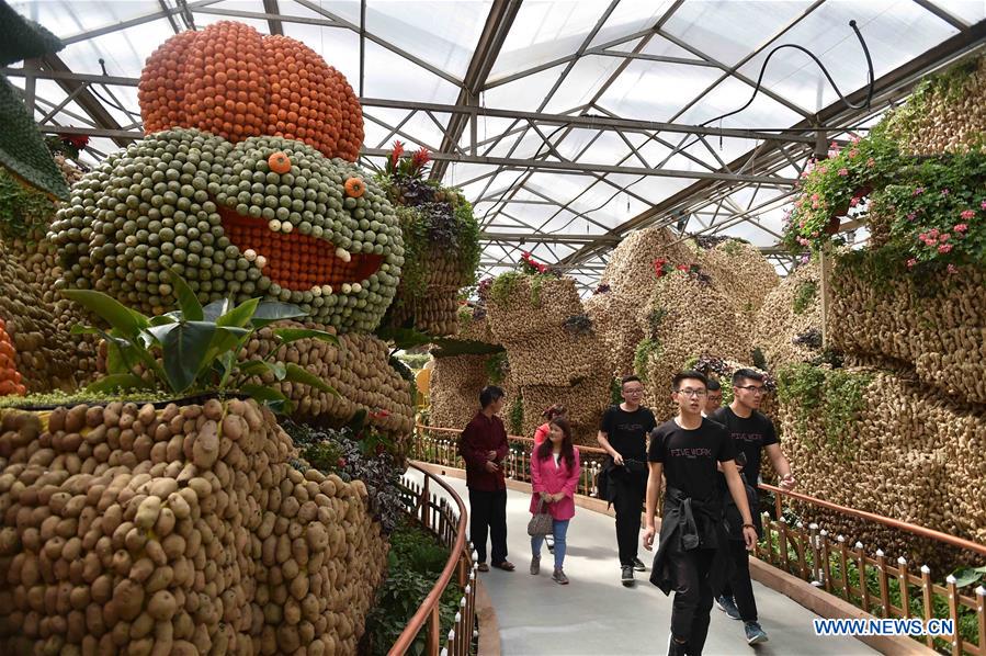 Visitors view cartoon characters made of vegetables and fruits during the 18th China (Shouguang) International Vegetable Sci-Tech Fair in Shouguang of east China&apos;s Shandong Province, April 20, 2017. The fair kicked off here on Thursday. (Xinhua/Zhu Zheng) 