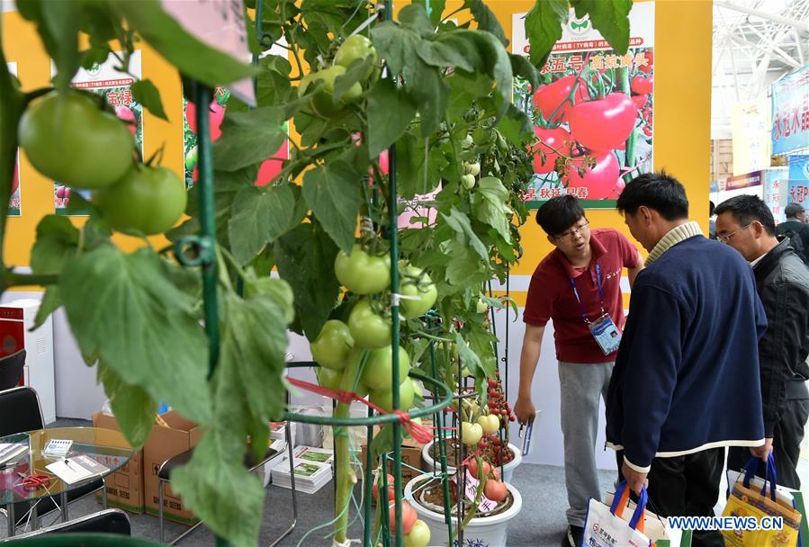 Visitors view vegetable seeds during the 18th China (Shouguang) International Vegetable Sci-Tech Fair in Shouguang of east China&apos;s Shandong Province, April 20, 2017. The fair kicked off here on Thursday. (Xinhua/Zhu Zheng) 