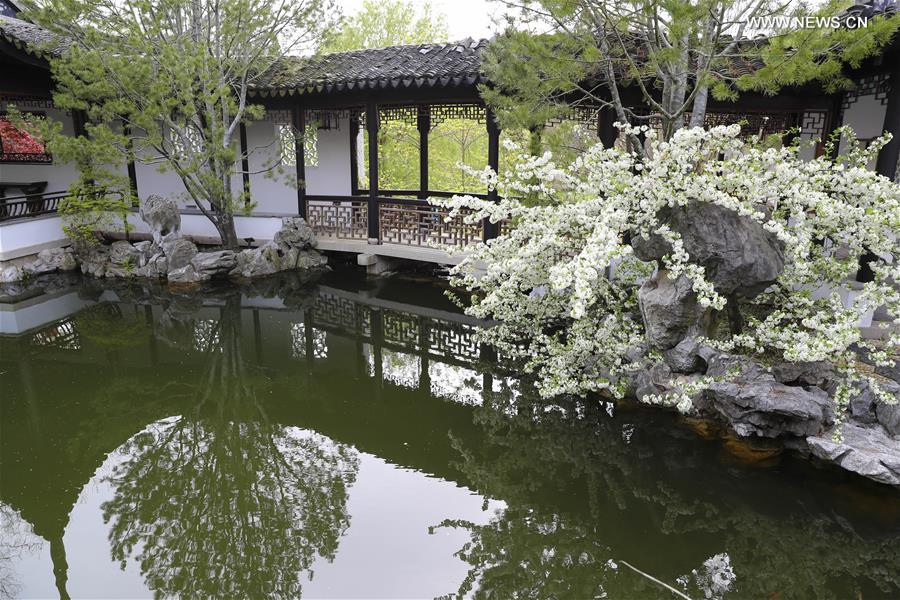 Scenery Of Chinese Scholar S Garden In New York China Org Cn