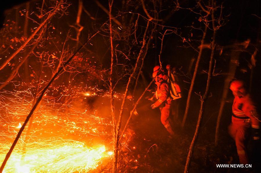 CHINA-INNER MONGOLIA-FOREST FIRE (CN)