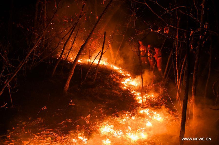 CHINA-INNER MONGOLIA-FOREST FIRE (CN)