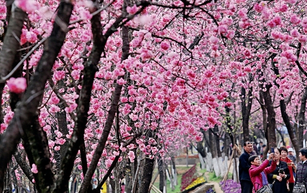 Kunming City Of Perpetual Spring Cn