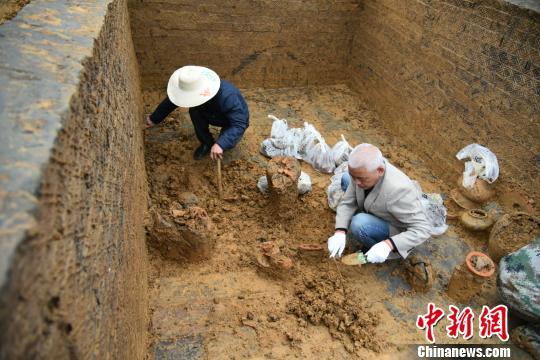The working staff carry out excavations at the tomb recently discovered in southwest China's Chongqing Municipality. [Photo/Chinanews.com]