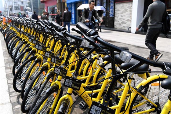 Ofo bikes parked at a subway entrance in Fuzhou, Fujian Province, on March 29, 2017. [Photo/Xinhua]