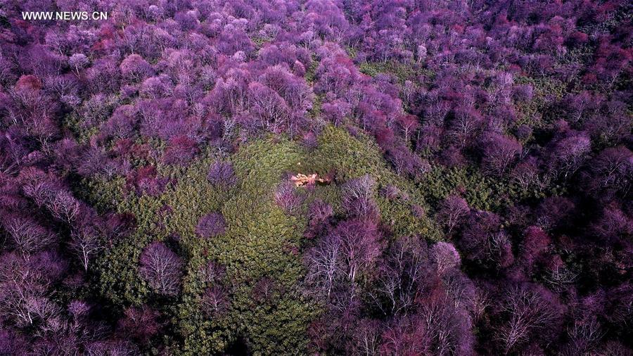 CHINA-SHAANXI-HANZHONG-SCENERY (CN)