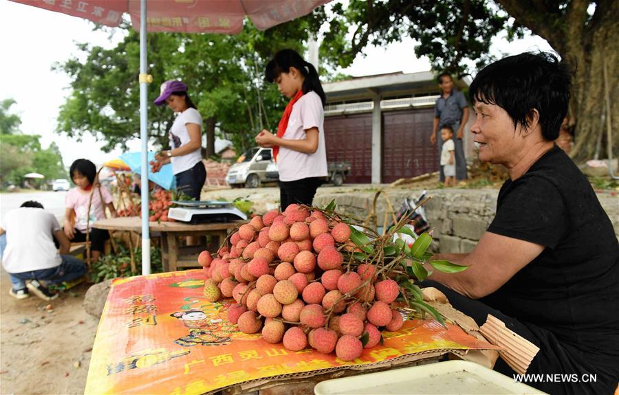 Villagers sell litchi in Linshan County, south China&apos;s Guangxi Zhuang Autonomous Region, June 7, 2017. Farmers here started to harvest litchi recently. (Xinhua/Zhang Ailin) 