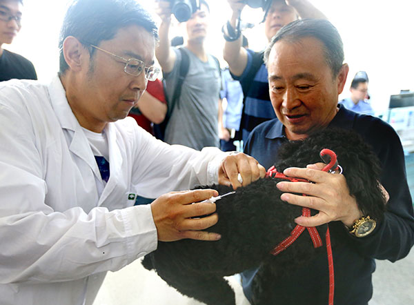 A dog owner has his pet registered in Qingdao, Shandong Province, on Thursday.[Photo/China Daily] 