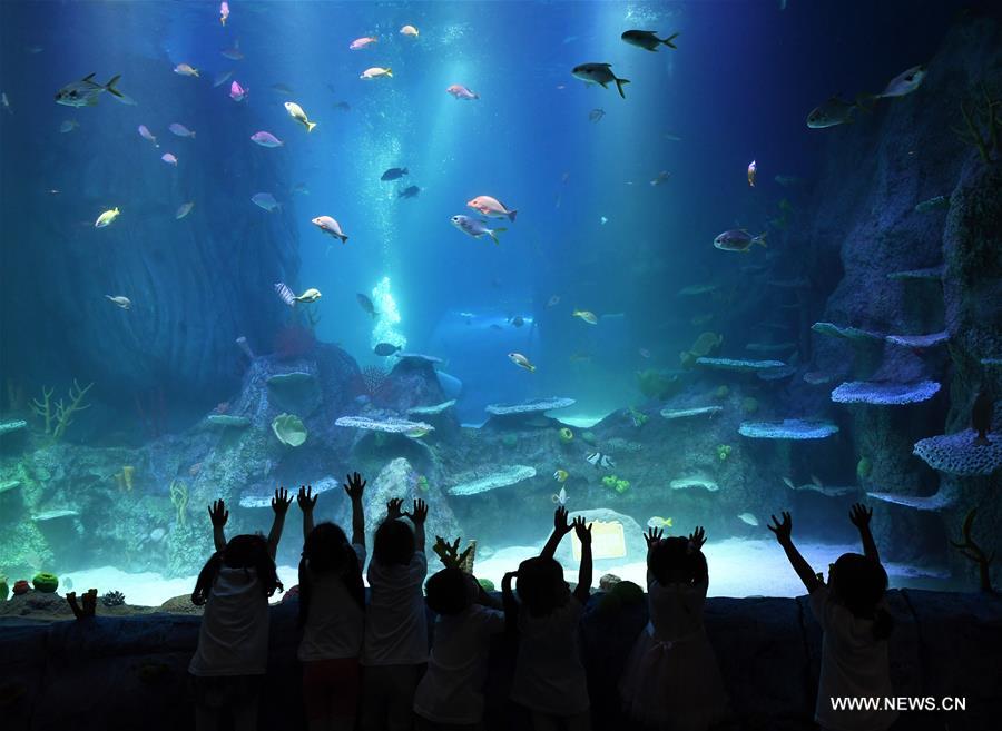 CHINA-CHONGQING-AQUARIUM CENTER (CN)