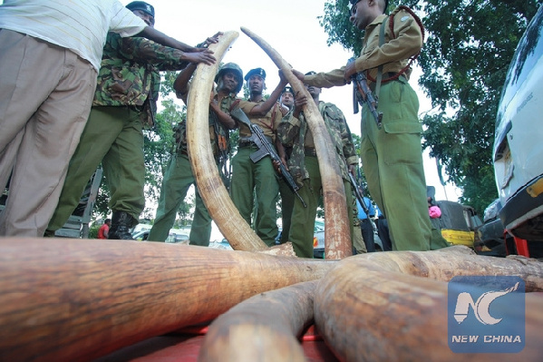 File photo taken on June 5, 2014 shows Kenyan police officers check 302 pieces of ivory, including 228 elephant tusks seized in a warehouse during a raid in the port city of Mombasa. [File photo/Xinhua]