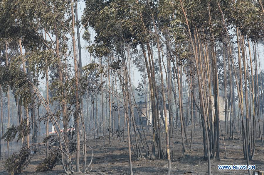 PORTUGAL-PEDROGAO GRANDE-FOREST FIRE