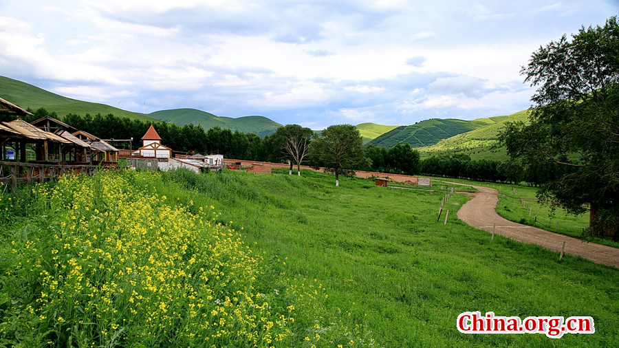 The special climate and geographical position at the junction of the North China Plain and the Inner Mongolia Grasslands give Bashang Grassland its unique natural landscapes and make it a popular destination for tourists and photographers.