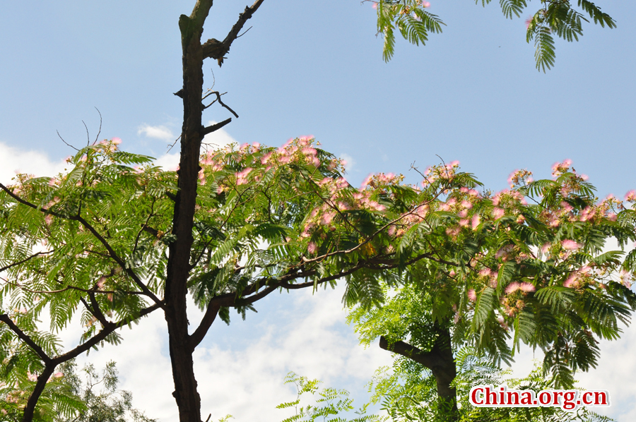 Located to the west of the Forbidden City and Jingshan Park, Beihai (literally the Northern Sea) Park is one of the oldest, largest and best-preserved ancient imperial gardens in China. It was the former palace of emperors for successive dynasties. The park covers an area of 68 hectares, half of which is covered by a lake.