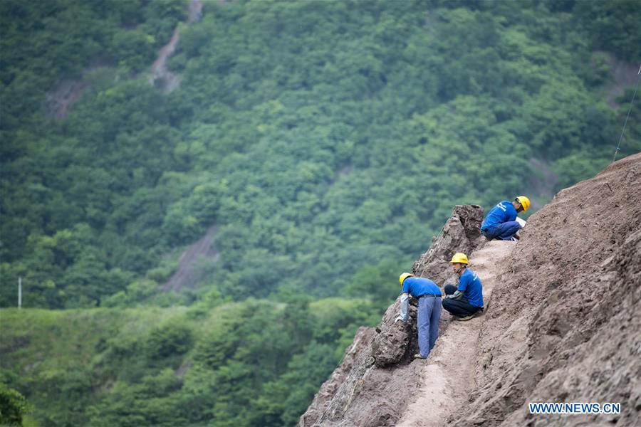 CHINA-CHONGQING-DINOSAUR FOSSIL-DISCOVERY (CN)