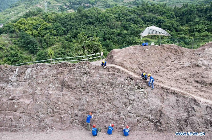 CHINA-CHONGQING-DINOSAUR FOSSIL-DISCOVERY (CN)