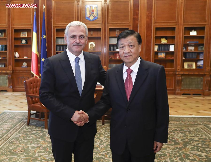 Liu Yunshan (R), a member of the Standing Committee of the Political Bureau of the Communist Party of China (CPC) Central Committee, meets with Liviu Dragnea, chairman of Romania's ruling Social Democratic Party (PSD) and speaker of the Chamber of Deputies, in Bucharest, Romania, July 14, 2017. [Photo/Xinhua]