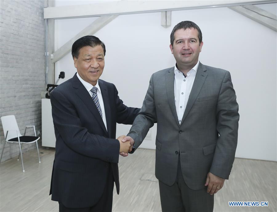 Liu Yunshan (L), a member of the Standing Committee of the Political Bureau of the Communist Party of China (CPC) Central Committee, meets with Deputy Chairman of the Social Democratic Party of Czech Republic Jan Hamacek, who is also speaker of the lower house of the Czech parliament, in Mlada Boleslav, the Czech Republic, July 17, 2017. [Photo/Xinhua]