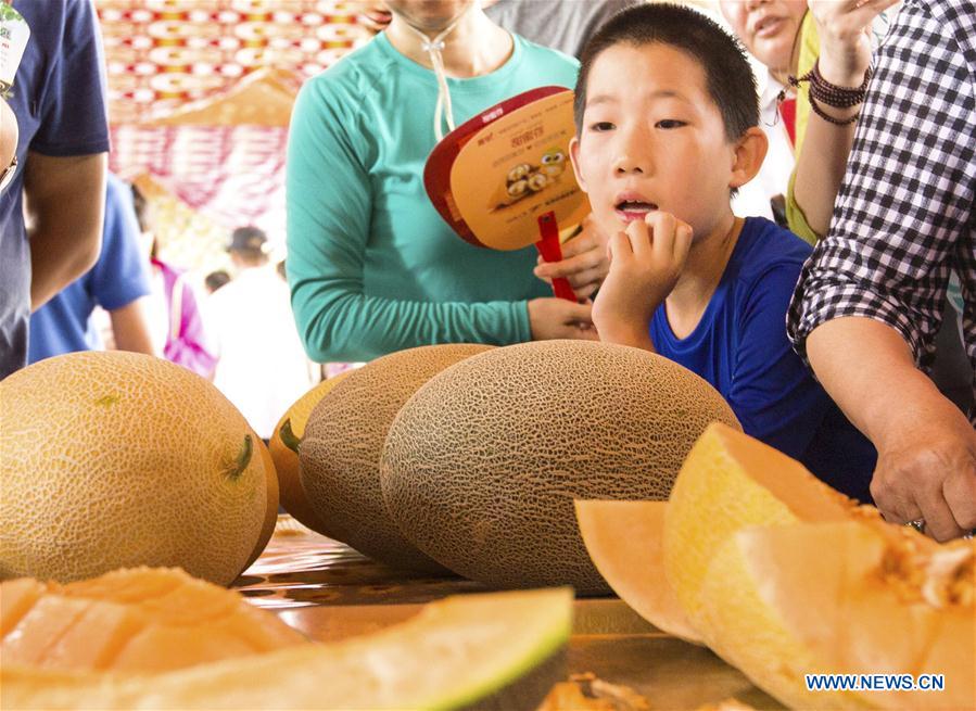 #CHINA-XINJIANG-HAMI MELON(CN)