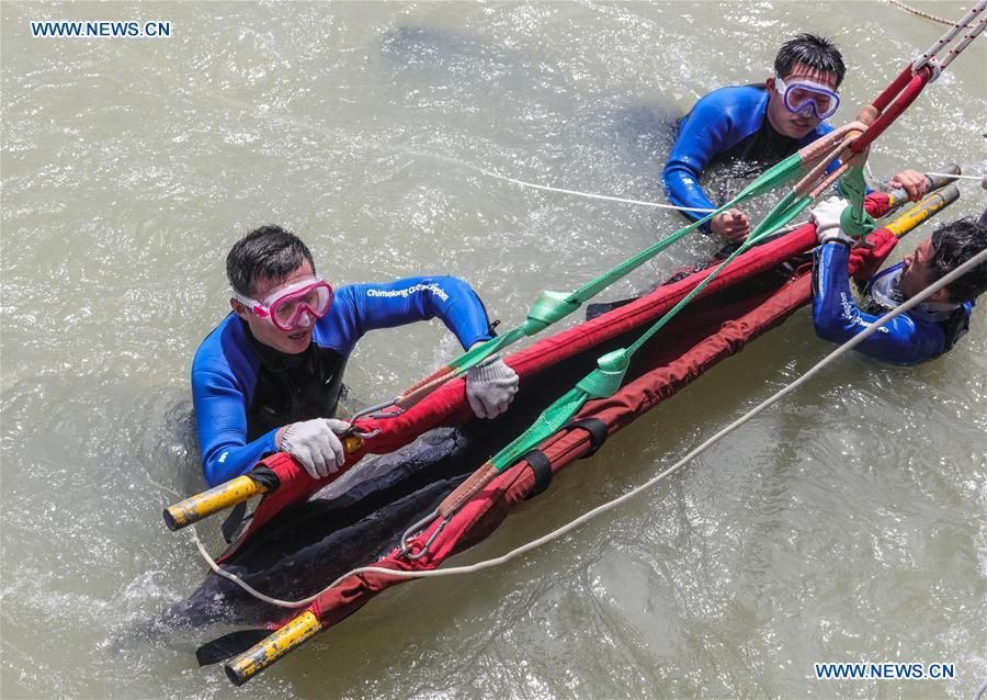 CHINA-GUANGDONG-ZHUHAI-DOLPHIN-RELEASE (CN)