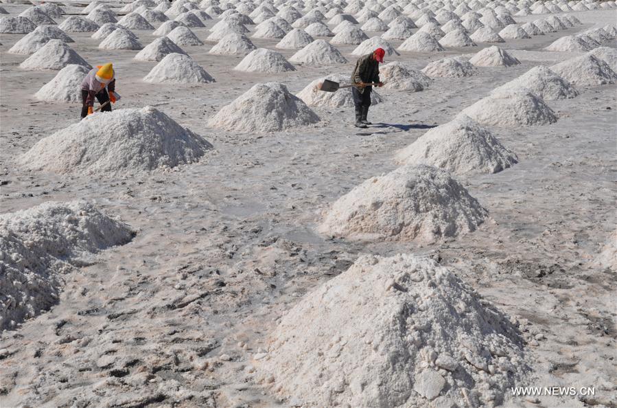 #CHINA-GANSU-ZHANGYE-SALT HARVEST (CN)