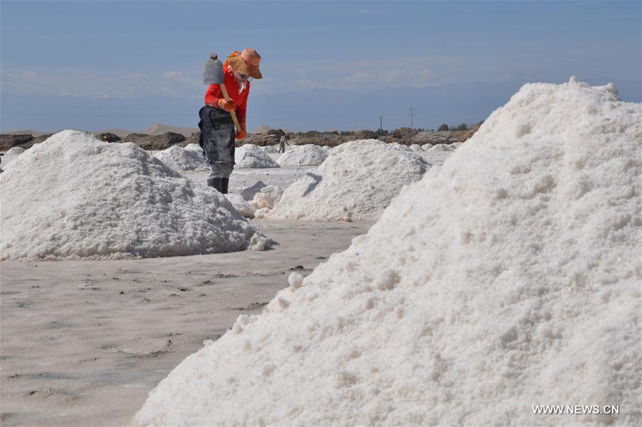 #CHINA-GANSU-ZHANGYE-SALT HARVEST (CN)