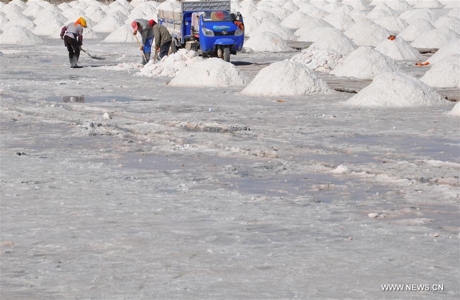 #CHINA-GANSU-ZHANGYE-SALT HARVEST (CN)