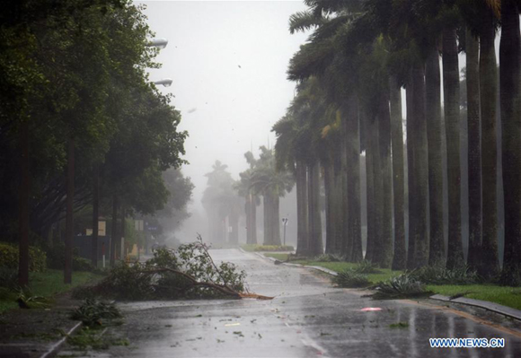 Trees and branches are seen on a street after being torn down by strong winds as hurricane Irma arrives, in Miami, Florida, the United States, on Sept. 10, 2017. Category Four Hurricane Irma on Sunday morning made landfall in the Florida Keys with gust wind speed of 171 km/h, according to the National Hurricane Center (NHC). (Xinhua/Yin Bogu) 