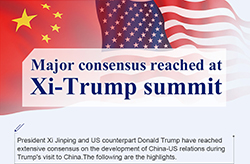 Xi, Trump reach agreement on important issues