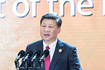 President Xi back home after APEC summit, state visits to Vietnam, Laos