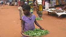 The photo taken on October 28, 2009 shows girls carry vegetables to sell at the market in Togoville.