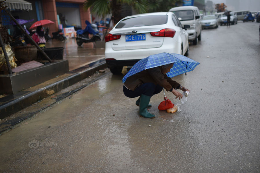 Huang Huiying picks up a steamed bun from the ground on her way home. To save money, Huang hasn't bought any meat in the past four years. Her family could get 3,800 yuan of minimum living guarantee each quarter from the local county government and the number has increased to 5,300 yuan since May 2015. [Photo/Sina]