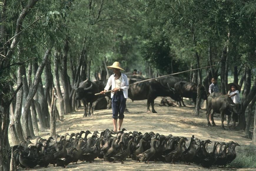 日本人镜头中的80年代中国和朝鲜