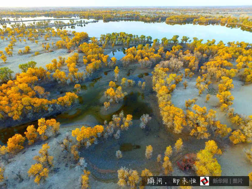 중국 전역서 펼쳐진 시각의 향연 ‘가을이 부리는 마법’